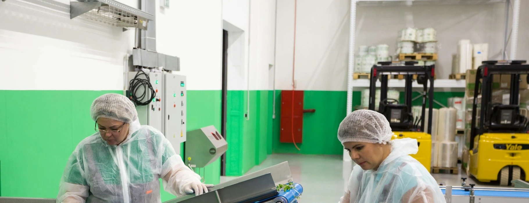 Trabajadoras inspeccionando y clasificando producto fresco en línea de producción