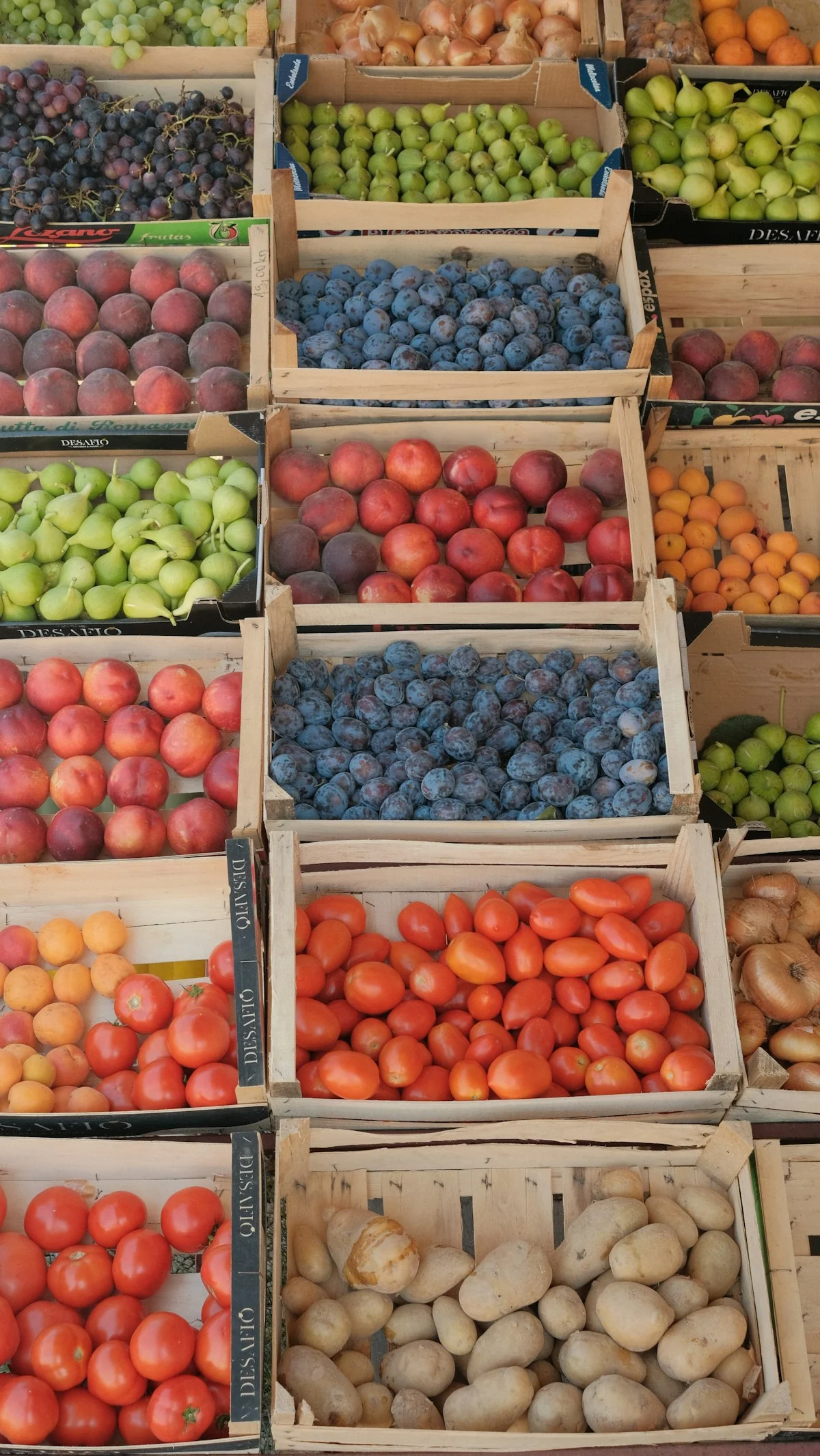 Cajas de fruta y verdura fresca recién cosechada