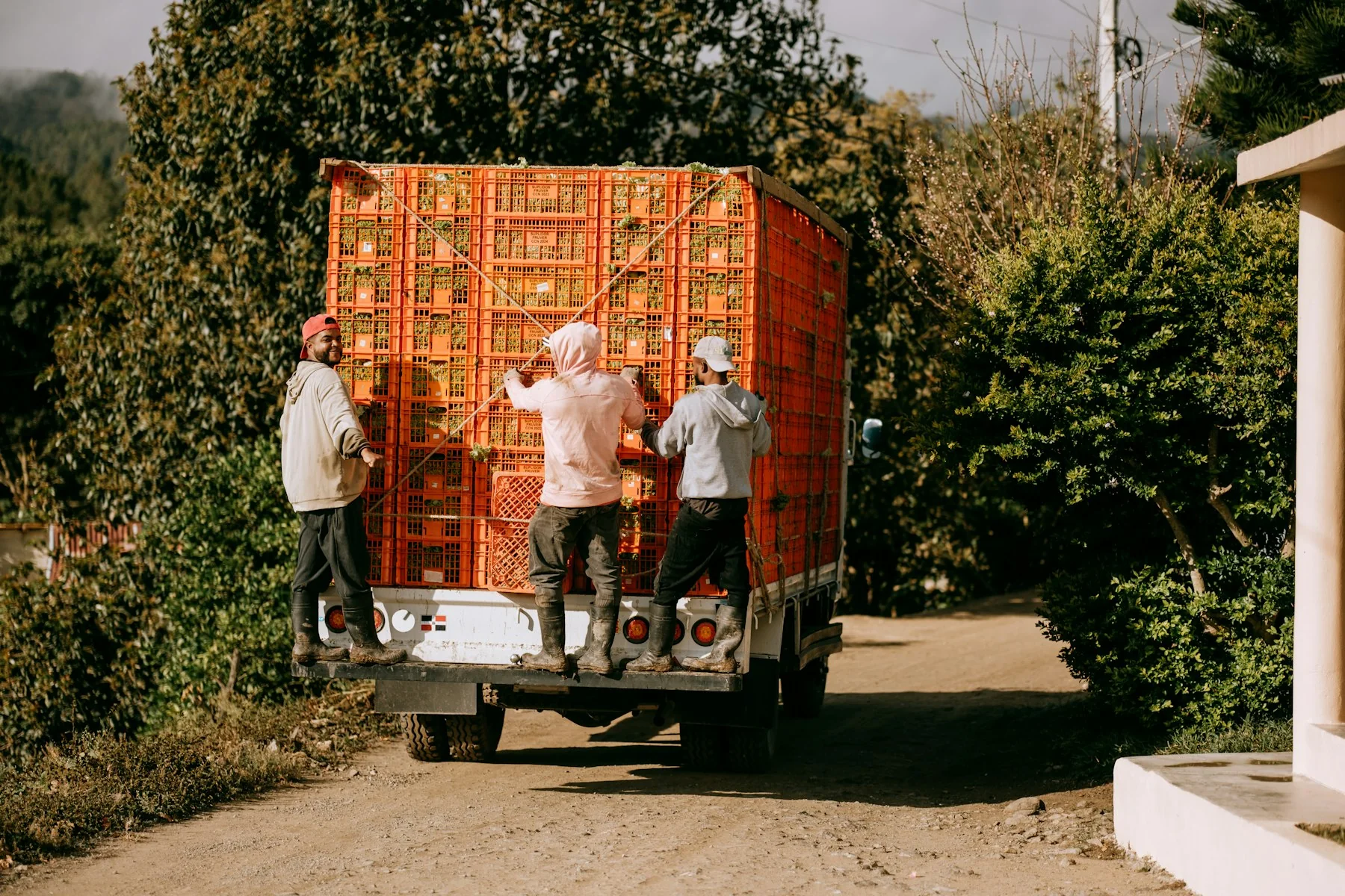 Camión cargado con cajas de producto agrícola